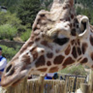 Meet your Posher, Paula